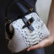 Snakeskin mini doctor bag